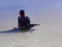 Lumba-lumba yang Menepi Minta Tolong ke Nelayan Sumenep Mati