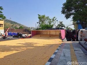 Truk Terguling di Alun-alun Wonogiri, Puluhan Ton Jagung Tumpah!