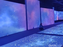 Jangan Sampai Rugi, Tiket Van Gogh Alive Bisa Dipakai 2 Kali