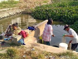 Air Kolam Jadi Andalan Warga Indramayu Kala Kemarau Melanda