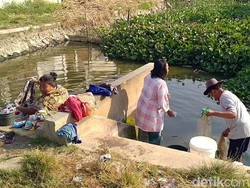 Air Kolam Jadi Andalan Warga Indramayu Kala Kemarau Melanda