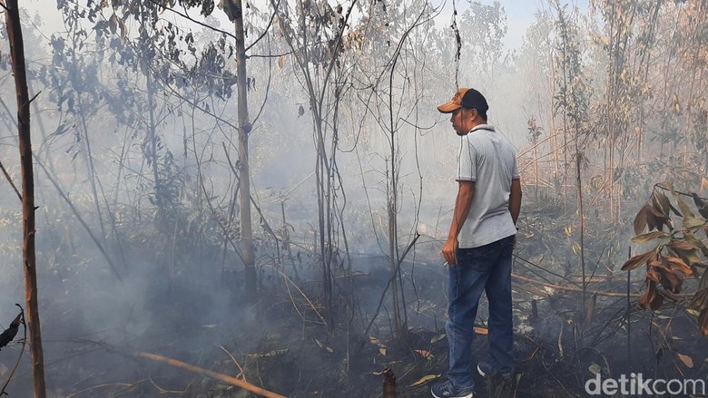 Kebakaran Lahan di Kampar, Siswa SMP Dipulangkan Lebih Cepat