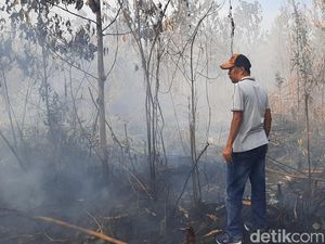 Kebakaran Lahan di Kampar, Siswa SMP Dipulangkan Lebih Cepat