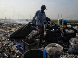 Ilmuwan Sebut Hal Penting Ini Lebih Bisa Atasi Krisis Iklim, Apa Itu?