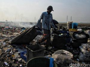 Ilmuwan Sebut Hal Penting Ini Lebih Bisa Atasi Krisis Iklim, Apa Itu? Ilmuwan Sebut Hal Penting Ini Lebih Bisa Atasi Krisis Iklim, Apa Itu?