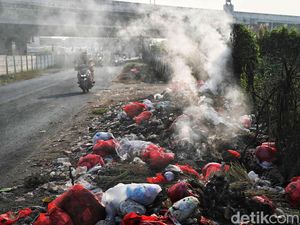 Dinas LH DKI Tegaskan Warga Bakar Sampah Didenda Rp 500 Ribu Dinas LH DKI Tegaskan Warga Bakar Sampah Didenda Rp 500 Ribu