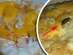Apes! 5 Kisah Orang Beli Makanan Dapat Bonus Telur Lalat di Dalamnya