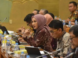 Bos Pertamina Beberkan Potensi Penyimpanan Karbon di RI