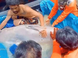 Cerita Pemancing Dapat Lele Raksasa Seberat 299 Kilogram Cerita Pemancing Dapat Lele Raksasa Seberat 299 Kilogram