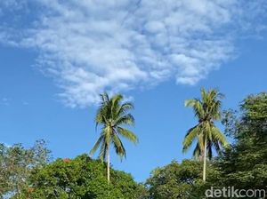 BMKG Prediksi Makassar Belum Akan Diguyur Hujan Dalam 3 Hari ke Depan BMKG Prediksi Makassar Belum Akan Diguyur Hujan Dalam 3 Hari ke Depan