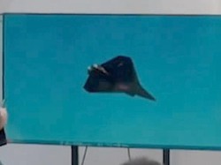 Misteri Jet Tempur Generasi Keenam China Tak Ada Ekornya