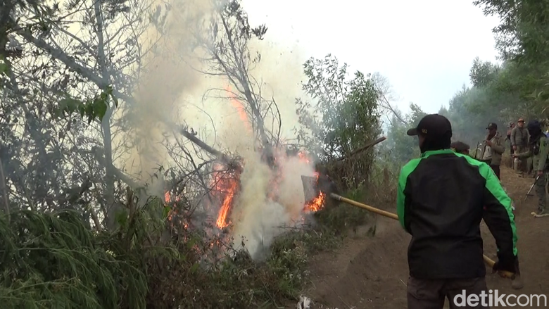 2 Hektare Hutan Kawasan TNBTS di Ranupani Terbakar Imbas Kemarau
