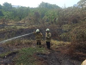 Alang-alang di Pademangan Terbakar gegara Puntung Rokok Dibuang Sembarangan Alang-alang di Pademangan Terbakar gegara Puntung Rokok Dibuang Sembarangan