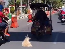 Fakta-fakta Viral Pria Pengemudi Bentor Seret Anjing di Makassar