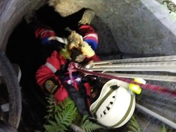 Damkar Klaten Tengah Malam Evakuasi Kucing di Sumur 15 Meter