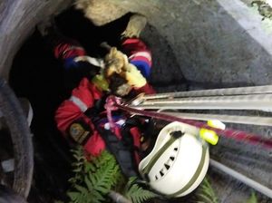 Damkar Klaten Tengah Malam Evakuasi Kucing di Sumur 15 Meter Damkar Klaten Tengah Malam Evakuasi Kucing di Sumur 15 Meter