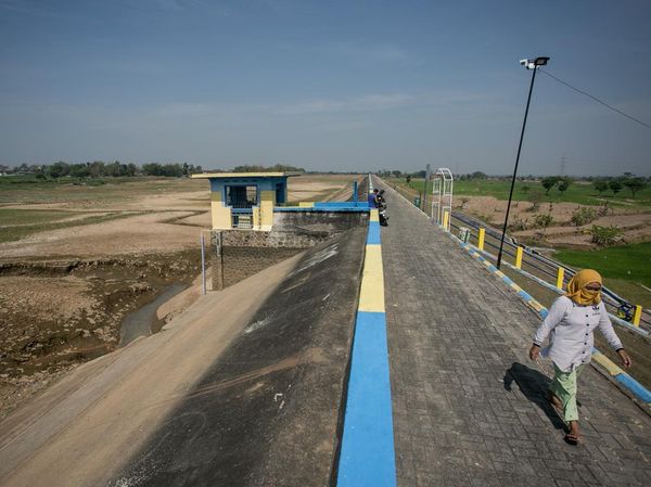 Potret Waduk Mengering di Sragen, Ribuan Hektare Sawah Terancam