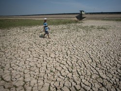 3 Aksi Baik Super Inspiratif Jadi Oasis Saat Kemarau Panjang