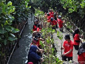 Contoh Wilayah Formal, Apa Bedanya dengan Wilayah Fungsional?