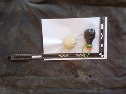 2 Bondet yang Gagal Meledak di Rumah Panitia Pilkades Pasuruan Di-disposal