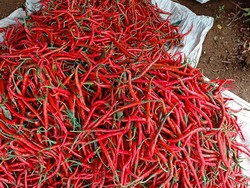 Harga Cabai Merah Keriting di Palembang Rp 42.000 per Kg