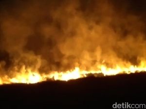Kebakaran Ilalang di Kawasan Ijen, Petugas Butuh 3 Jam Padamkan Api Kebakaran Ilalang di Kawasan Ijen, Petugas Butuh 3 Jam Padamkan Api