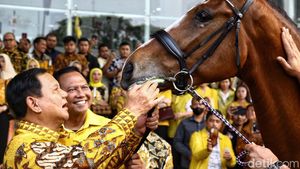 Kunjungi Markas Golkar, Prabowo Diberi Hadiah Kuda