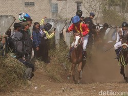 Lari Kuda yang Kembali Terdengar di Lintasan Pacuan Kuda Lembang