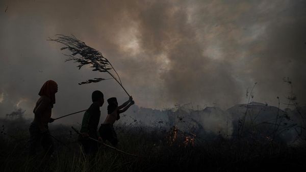 Aksi Bocah Ikut Padamkan Kebakaran Lahan di Ogan Ilir