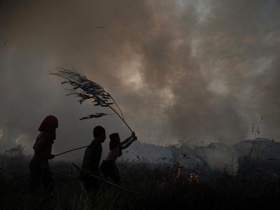 Aksi Bocah Ikut Padamkan Kebakaran Lahan di Ogan Ilir