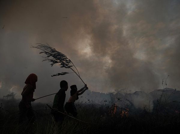 Aksi Bocah Ikut Padamkan Kebakaran Lahan di Ogan Ilir