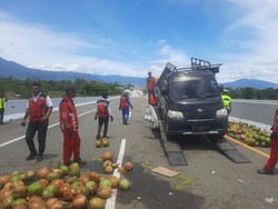 Pecah Ban, Pikap Angkut Kelapa Terbalik di Tol Sibanceh