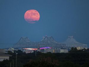Sederet Fenomena Langit Bulan Mei 2024, Ada Hujan Meteor-Flower Moon Sederet Fenomena Langit Bulan Mei 2024, Ada Hujan Meteor-Flower Moon