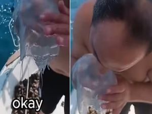 Pria Ini Tersakiti Saat Makan Ubur-ubur Pria Ini Tersakiti Saat Makan Ubur-ubur