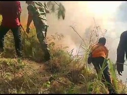 Lahan yang Terbakar di Hutan Tawangmangu Capai 10 Hektare!