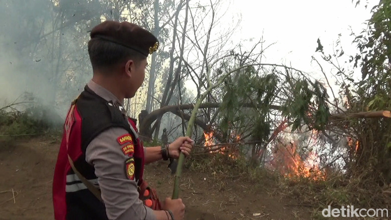 Kebakaran di Taman Nasional Bromo Tengger Semeru Meluas Jadi 30 Hektare