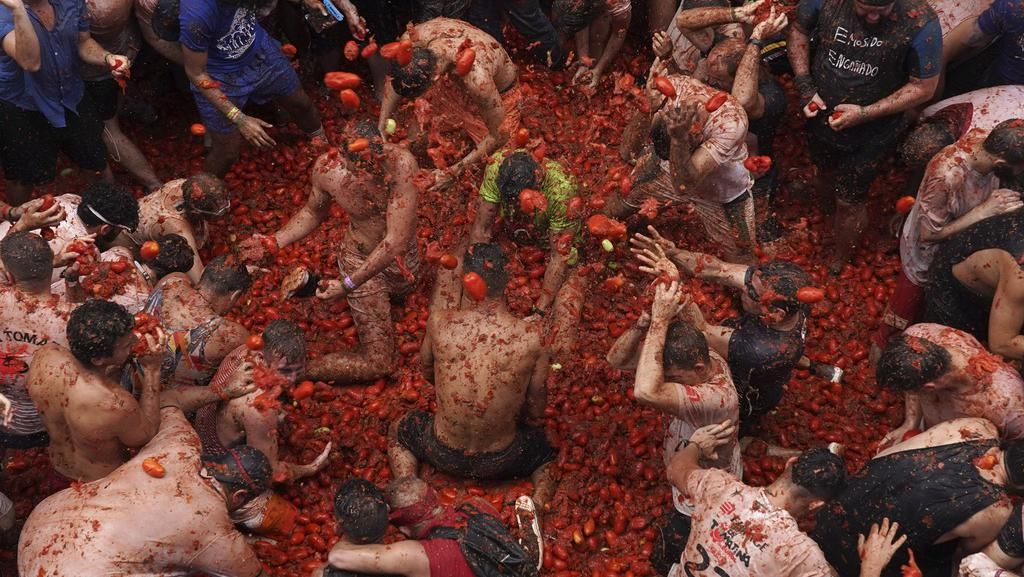 Semarak Perang Tomat Tahunan di Spanyol Semarak Perang Tomat Tahunan di Spanyol