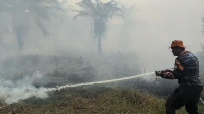 Karhutla di Jambi Kini Capai 1.157 Hektar, Didominasi Lahan Mineral
