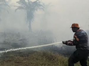 6 Hektare Kebun Sawit di Muaro Jambi Terbakar, 3 Orang Diamankan