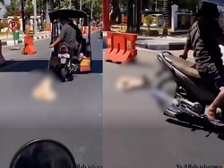 Aksi Sadis Anjing Diseret Pakai Bentor di Makassar, Polisi Turun Tangan