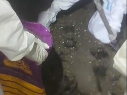 Warga Tangerang Terganggu Bau dari Sarang Walet, Ternyata Ini Sumbernya