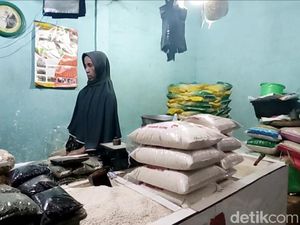 Harga Beras di Pasar Lamongan Merangkak Naik, Telur Ayam Terjun Bebas Harga Beras di Pasar Lamongan Merangkak Naik, Telur Ayam Terjun Bebas