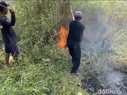 Jabar Hari Ini: Api Berkobar di Gunung Walat dan Kios Depan Unpas