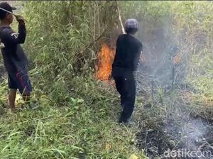Jabar Hari Ini: Api Berkobar di Gunung Walat dan Kios Depan Unpas Jabar Hari Ini: Api Berkobar di Gunung Walat dan Kios Depan Unpas