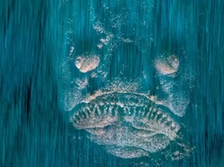 Foto Mengagumkan, Kelihatannya Hantu Tapi Ternyata...