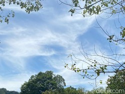 Prakiraan Cuaca Bandung, Senin 19 Agustus 2024: Berawan Seharian