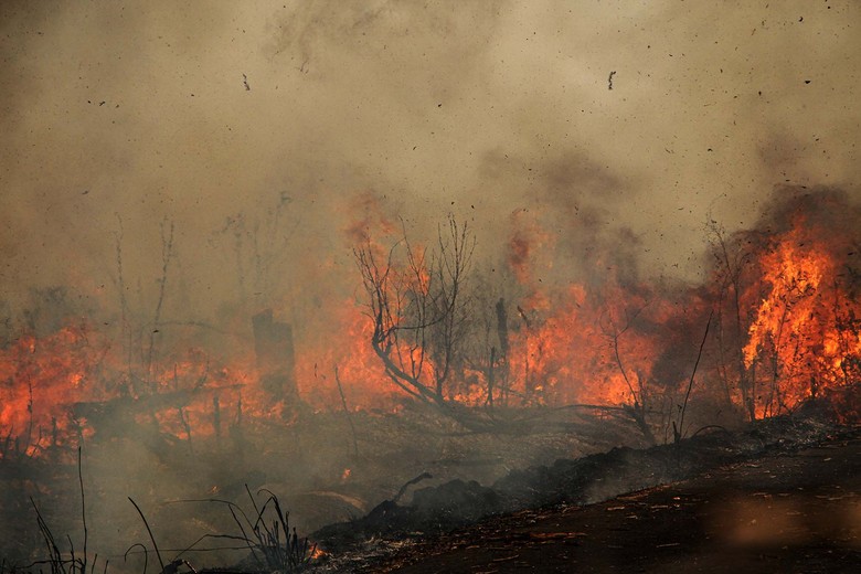 Hari Ke-10 Pemadaman Kebakaran Lahan Gambut di Riau
