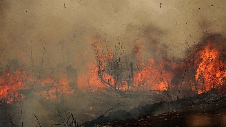 DPRD Jambi Desak Pemprov Ambil Langkah Cepat Tangani Karhutla