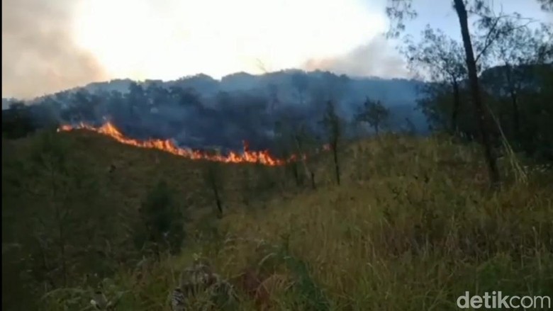 Kebakaran Gunung Arjuno Wilayah Pasuruan Terus Meluas