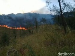 Kebakaran Gunung Arjuno Wilayah Pasuruan Terus Meluas
